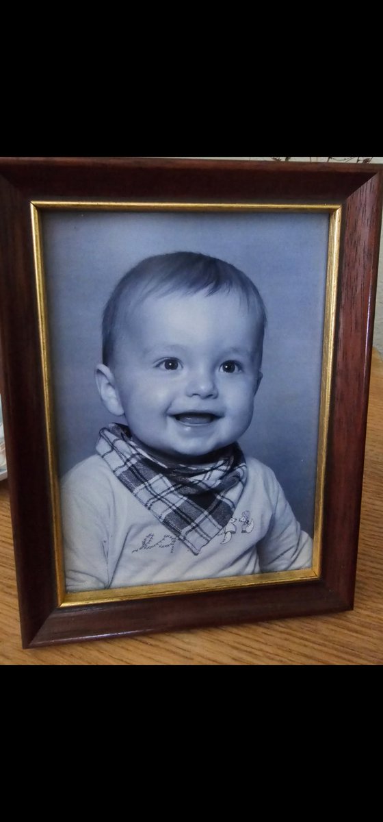 Refsgaard tweet media