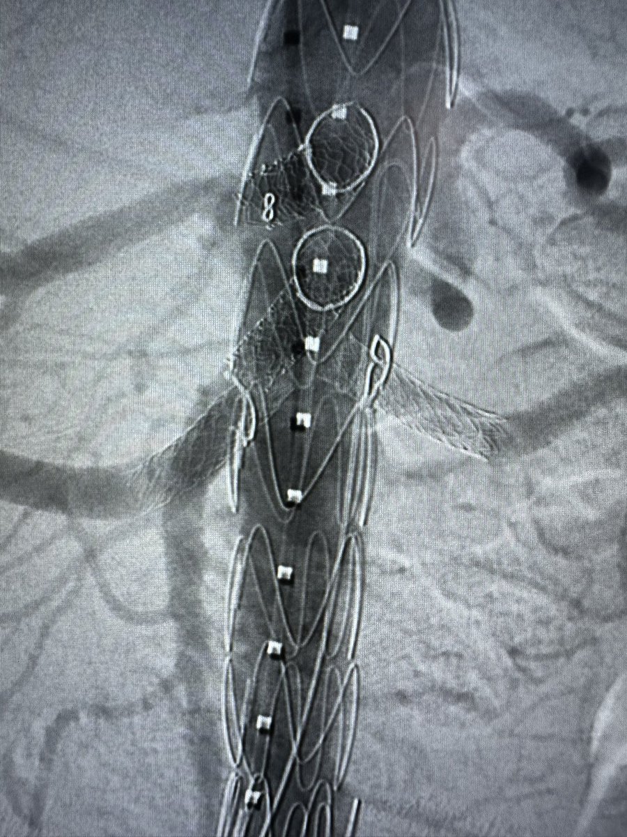 André Brito Queiroz tweet media