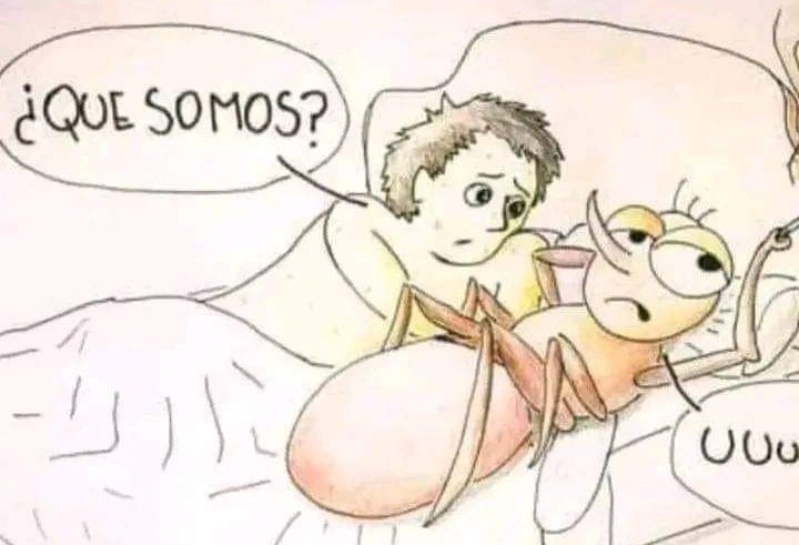 Yo con el mosquito después de que me comió toda la noche