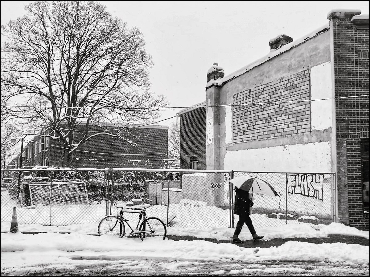 storyrd's tweet photo. Germantown Avenue, Mt. Airy / Philadelphia / #blackandwhite #streetphotography #theumbrellaproject / ๐ท @storyrd https://t.co/5gl61nsOcH