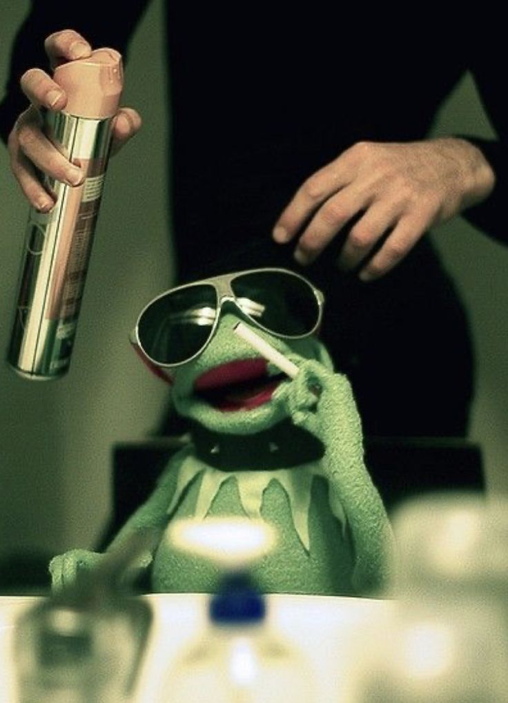 KermitTicker's tweet image. enjoying the high society 🐸 

$KERMIT
