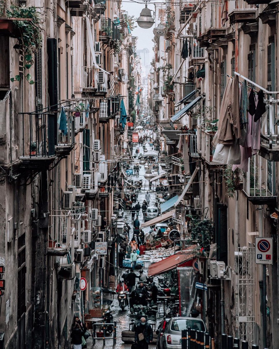 Napoli ancora viva tweet media