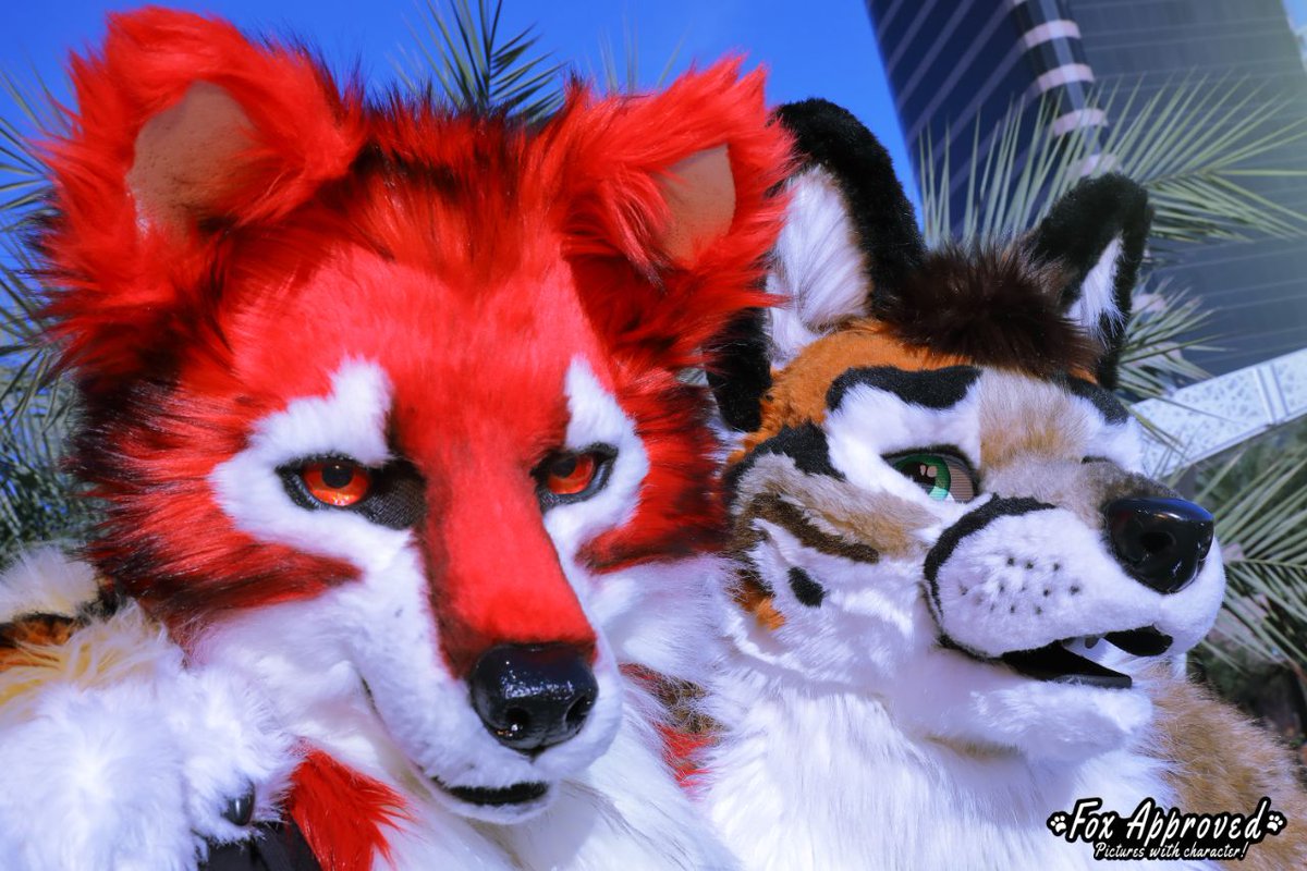 From PDFC 2024 when a <a href="/KartFox/">KartFox</a> appeared!