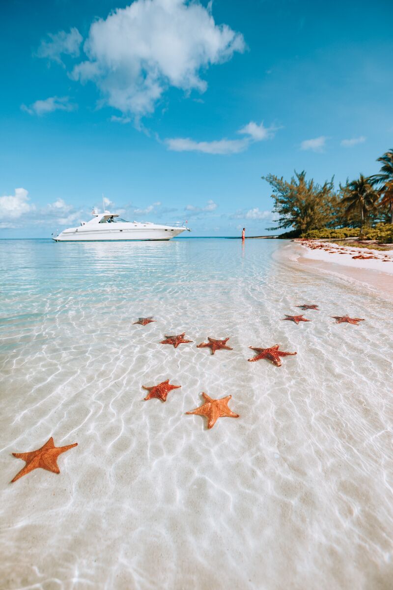 Warm temperatures. Blue skies. Clear waters. Perfect stargazing conditions.
