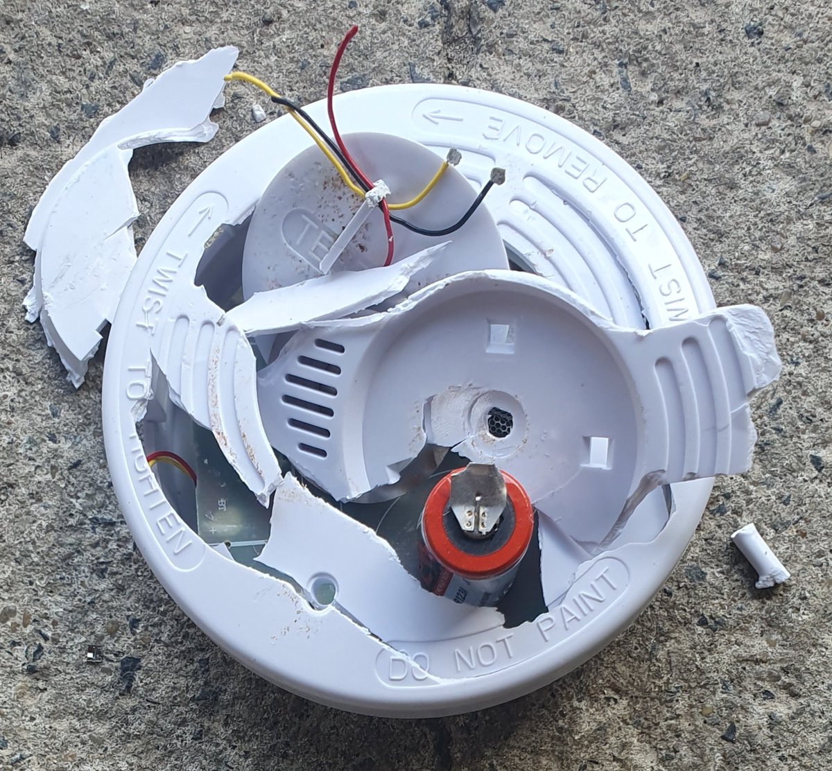 Paul Gardner tweet media