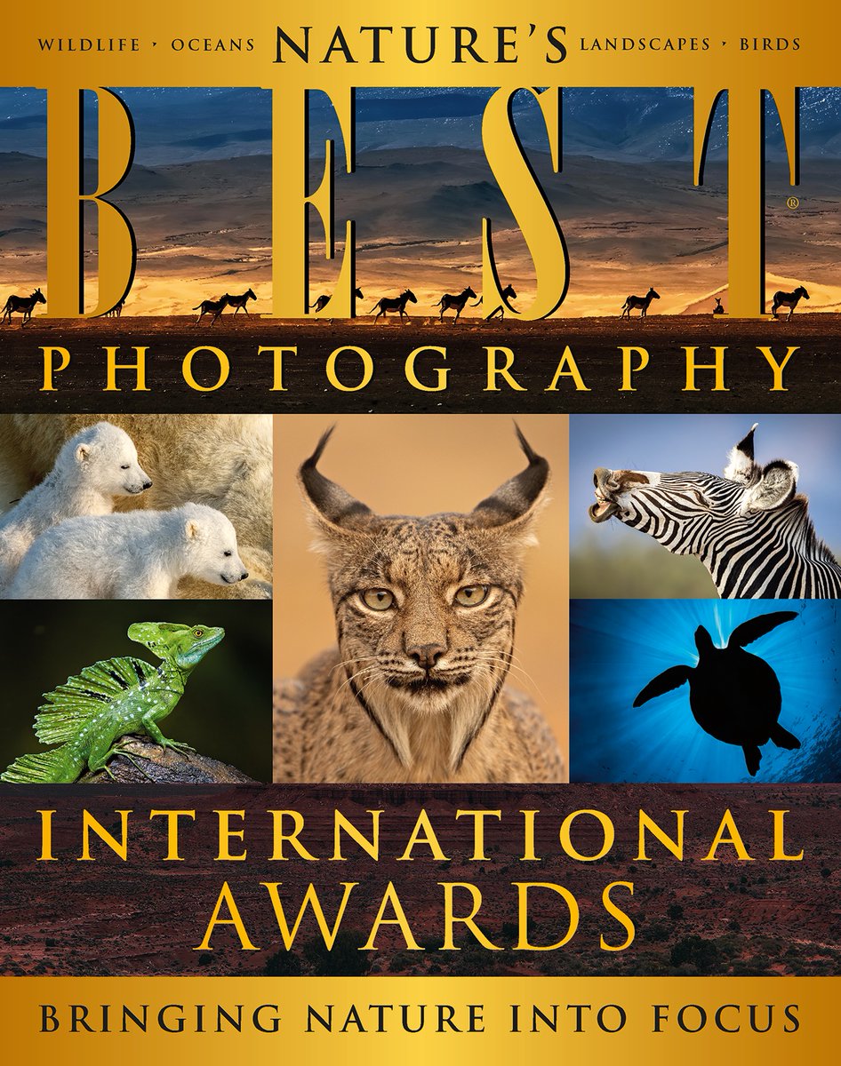 Need inspiration? See the last NBP International Awards Winners published in the 2023 Winter edition of Nature’s Best Photography and featured on NBP website:
naturesbestphotography.org/winners
• • •
Get your copy of the current special edition:
Naturesbestphotography.org/store.php