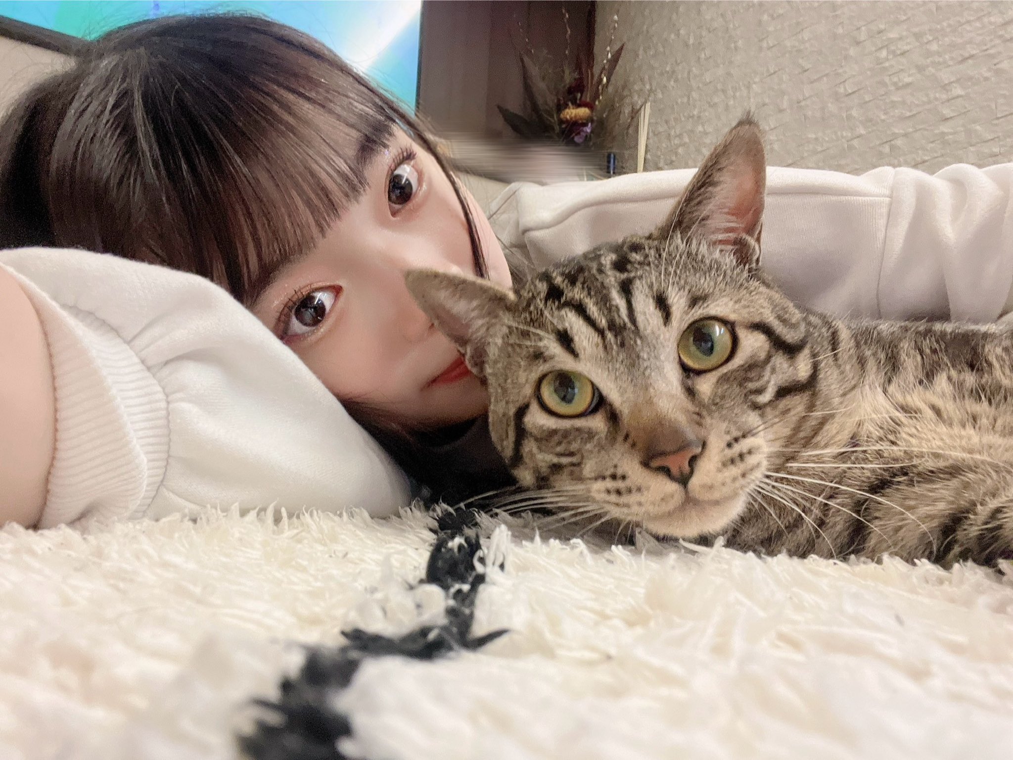 【激レア】おにんぎょ屋　葉　ちび猫　① 即納&大特価】 激レア】おにんぎょ屋 葉 ① ちび猫 その他 - その他