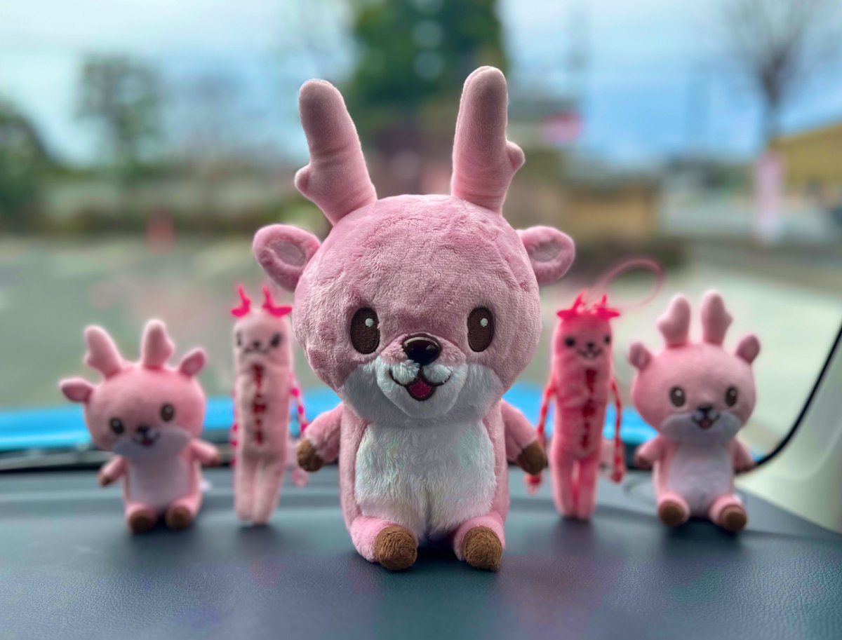 155999kan's tweet photo. ピンク王国到着🎀💕💓💗
一番乗り🤣🤣🤣
10時OPENなので、少し寝ます😴
#岩下の新生姜
#岩下の新生姜ミュージアム
#イワシカちゃん
#岩下の新生姜モケケ
#NEWGINGERMUSEUM https://t.co/bMSWZfkfPE