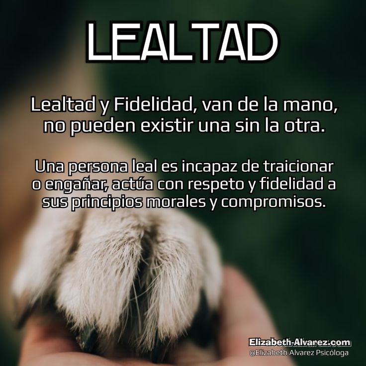 TamaraGuadarra2's tweet photo. La lealtad es el significado más simple de quien eres y de que estas echo!!
#RealYLeal
#EquipoADMM
#SanAntonioLaIsla https://t.co/GREYVPD5Ce