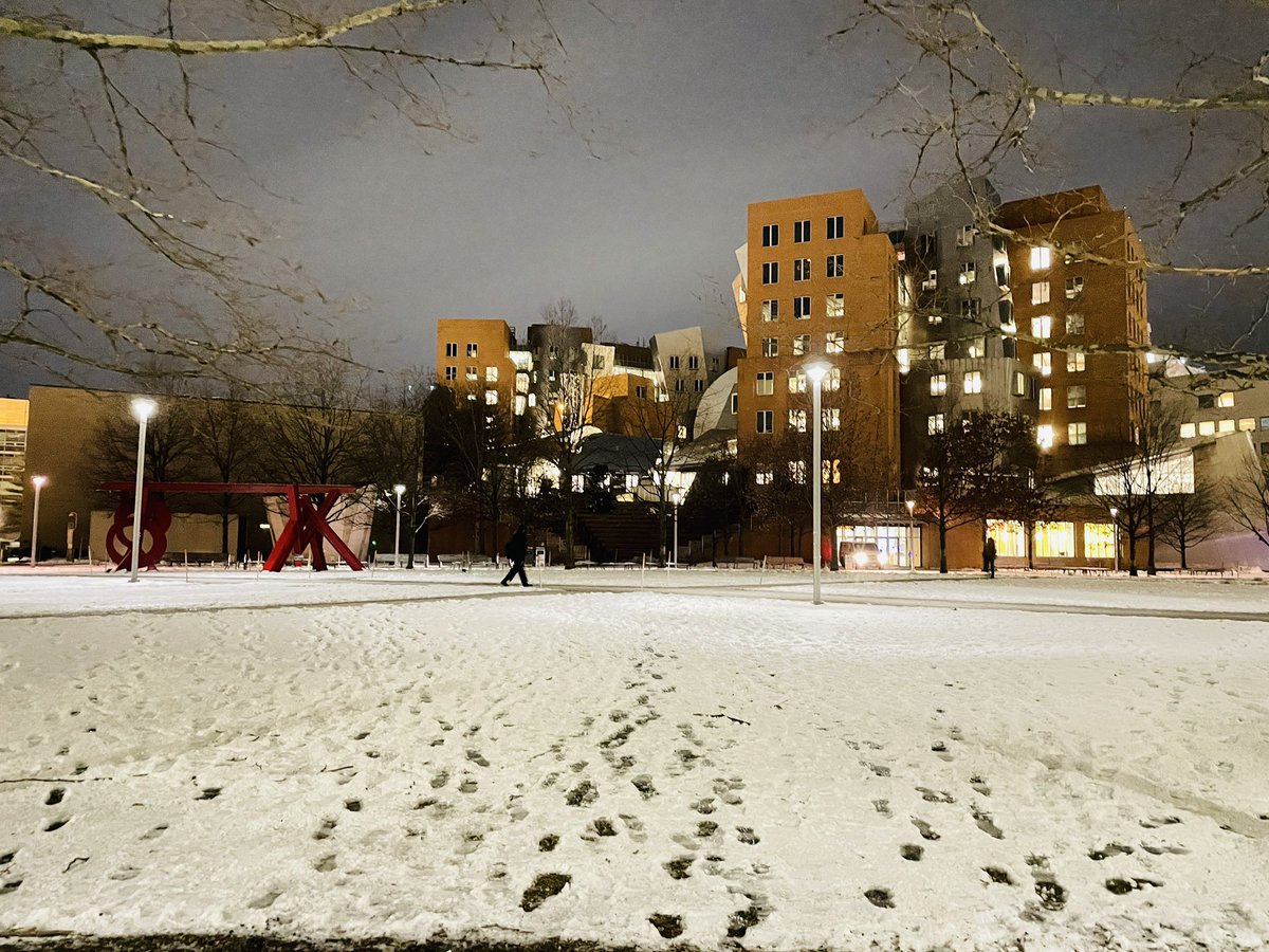ngosuke's tweet image. I like this time of year