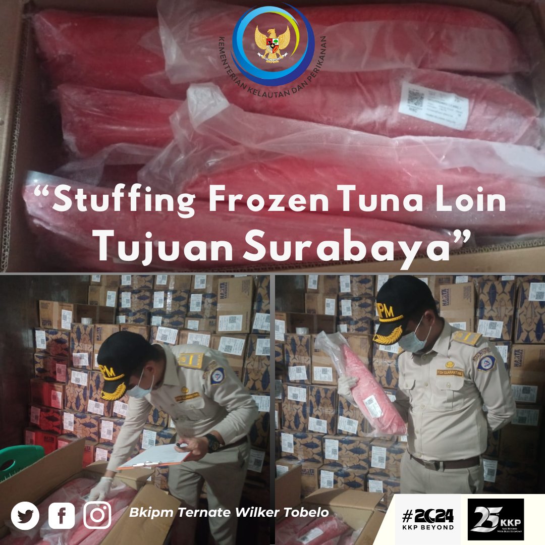 Hai #sahabatquarantine, 19 Januari 2024 Pejabat Karantina Ikan melakukan pengawasan stuffing domestik Frozen Tuna Loin yang melalui pelabuhan laut Tobelo dengan daerah tujuan Surabaya #MENTERIKKP #SAKTIWAHYUTRENGGONO #KKPGOID #KKPBeyond