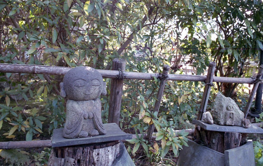 Hiropono_'s tweet photo. ごめん。
なんか一つのフィルムで夏から冬まであるわ。
#film 
#フィルムカメラ https://t.co/uDAMHIZb7e