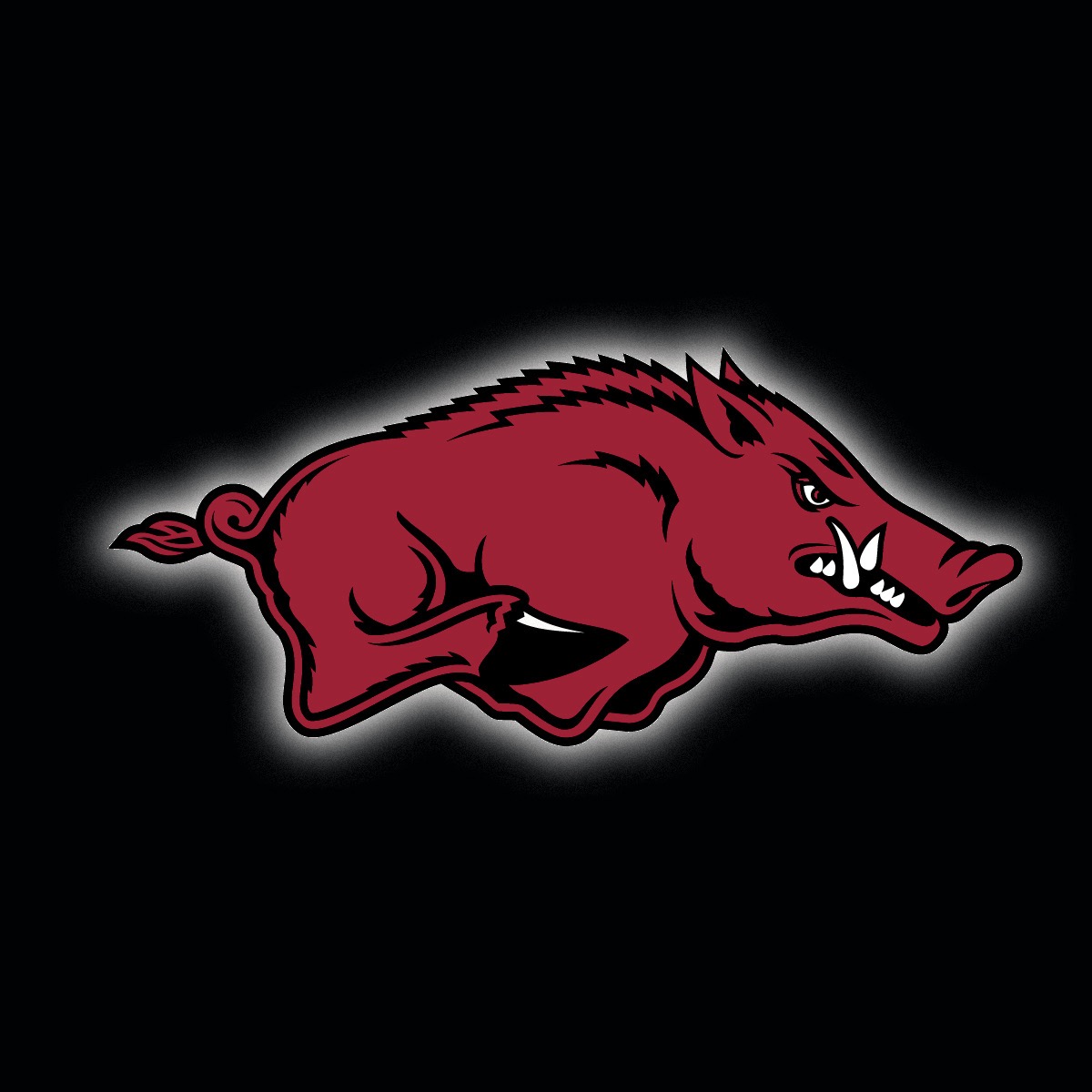 After great conversation with @CoachMTurner I would like to announce another offer to Arkansas