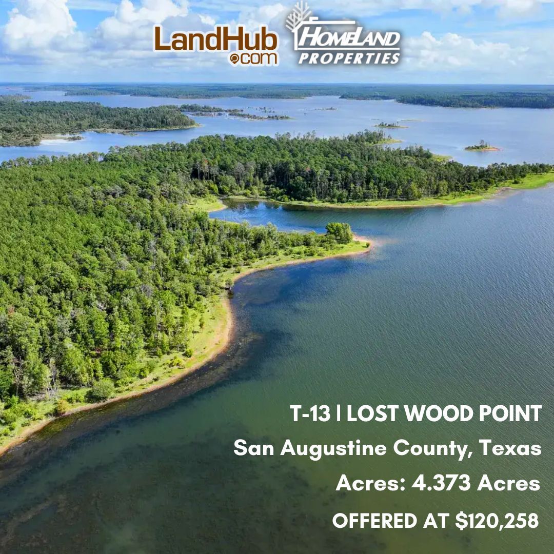 landhub's tweet image. Densely Wooded Tracts with Owner Financing! 🌲🏞️ 
Secluded Bliss with Private Lake Access to Lake Sam Rayburn. 
#landforsale #lakeaccess #lakefrontproperty #ownerfinancing #woodedtract

MORE INFO 👉 bit.ly/423exjd