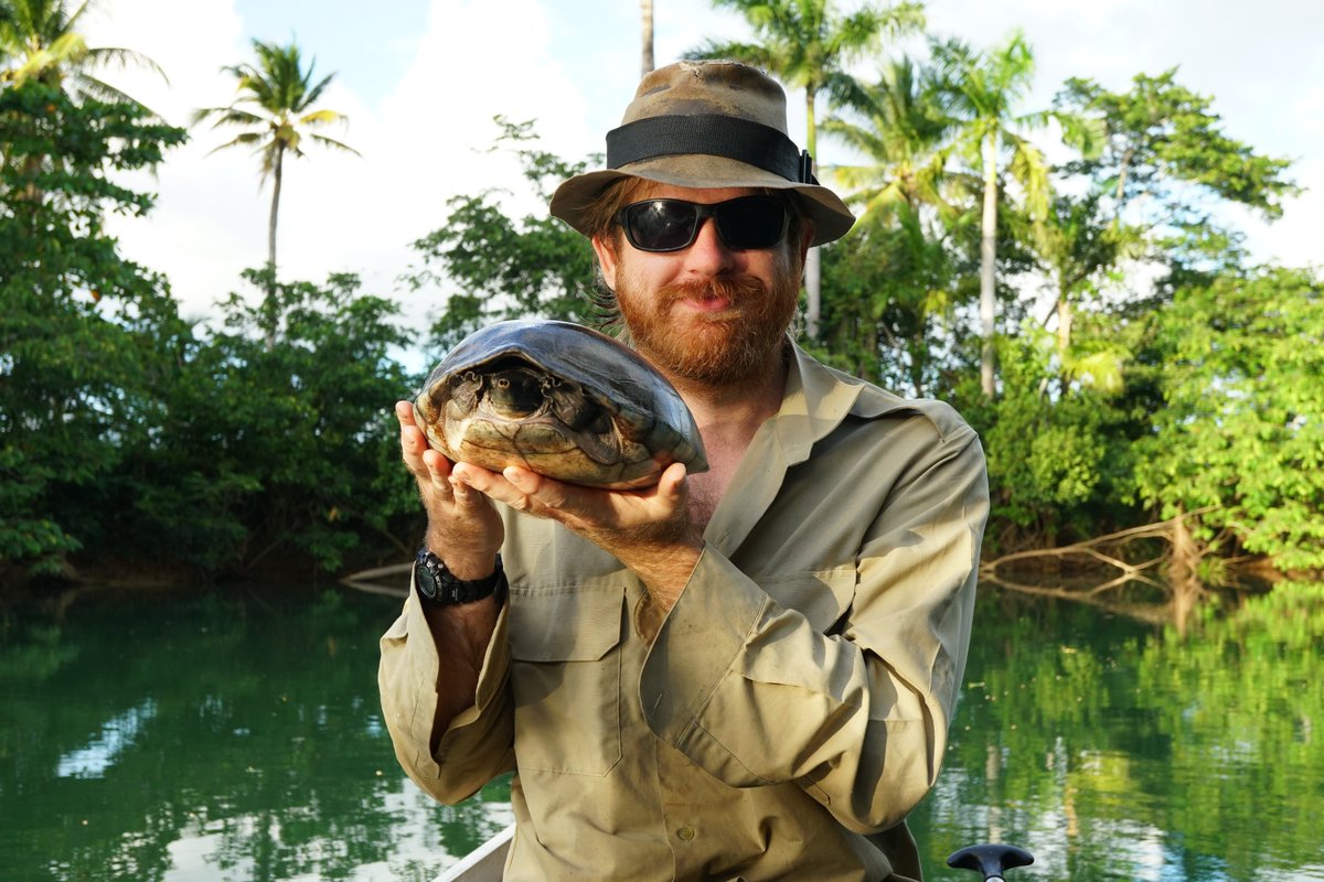 Is there a better way to spend a Friday afternoon than freediving in a clear(ish) tropical river catching critically endangered #turtles? I doubt it. We caught 5 Hicatee and 1 Mesoamerican Slider. Not a bad day in the office. #Research #Conservation #Belize