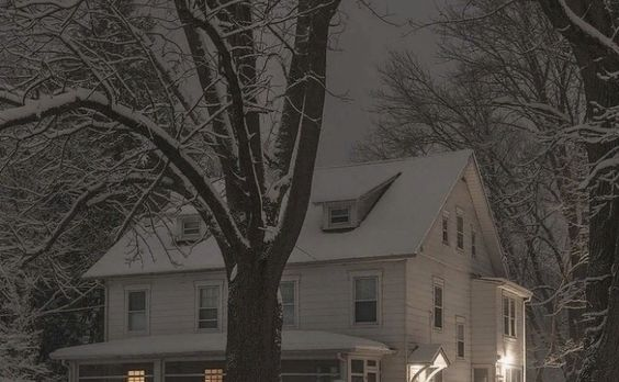 MythoAmerica 🌲 (@mythoamerica) on Twitter photo 