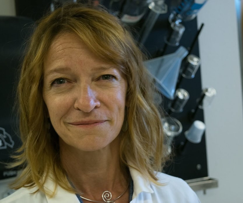 HealthHumanSci's tweet photo. We all know the mitochondria is the powerhouse of the cell, right? 🧫🔬

For @csuhes' Dr. Karyn Hamilton, this organelle can play a role in revealing solutions for healthy aging!

Learn more on this week's episode of Health and Human Science Matters 🎧🔗 https://t.co/Y5SgySdRiP https://t.co/mXJWN2YsIN