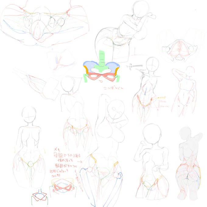 下腹部を研究するなど........... 