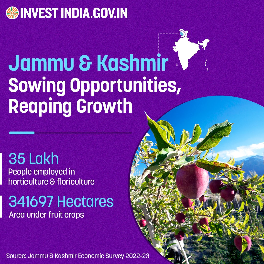 #JammuAndKashmir is doubling #horticulture growers' income by applying innovative location-based technologies, making them market leaders in high-quality produce. Explore more: bit.ly/II-JammuKashmir #InvestInIndia #InvestIndia #InvestInJammuAndKashmir