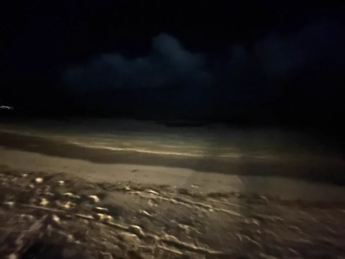 夜の海を散歩するドマと 