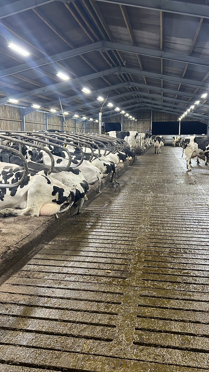 That’s a bugger of a wild morning, happy in here