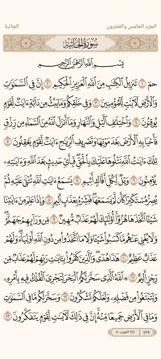 AlMosahf's tweet photo. ورد الأحد https://t.co/u8pGGY3B0N