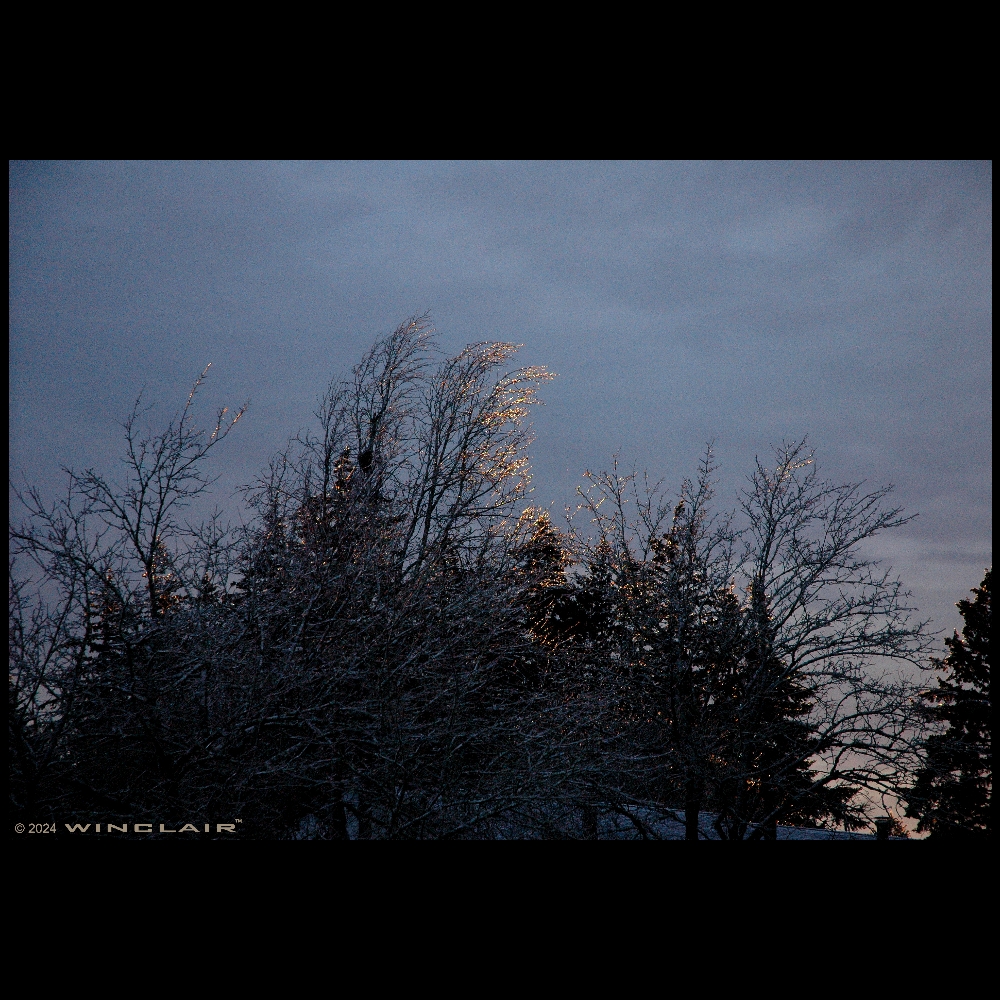 WinclairOrg tweet picture
