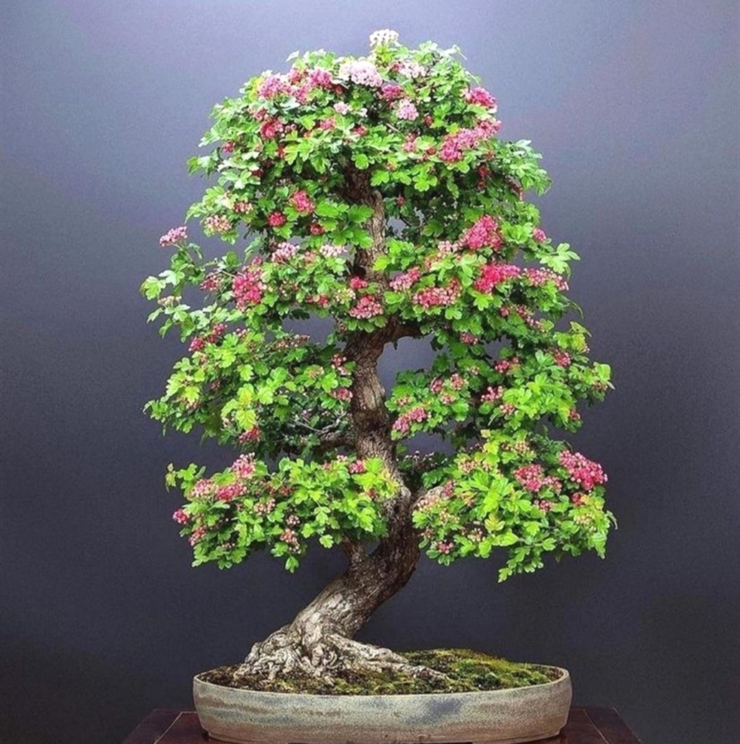 Morning family
Happy Saturday 🫡🌹🍀☕

Your dreams have no expiration date. Take a deep breath and try again...

رویاهای تو تاریخ انقضا ندارن..
یه نفس عمیق بکش و دوباره تلاش کن…