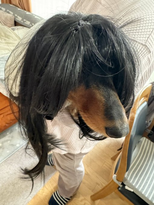 ……オニイ……チャ……
