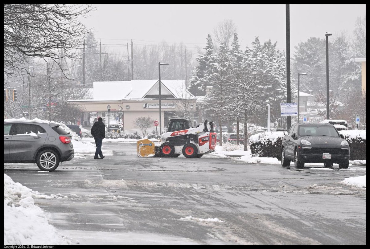 It's been the best week for snow in Bethesda in years. blog.pagebypagebooks.com/2024/01/a-good…