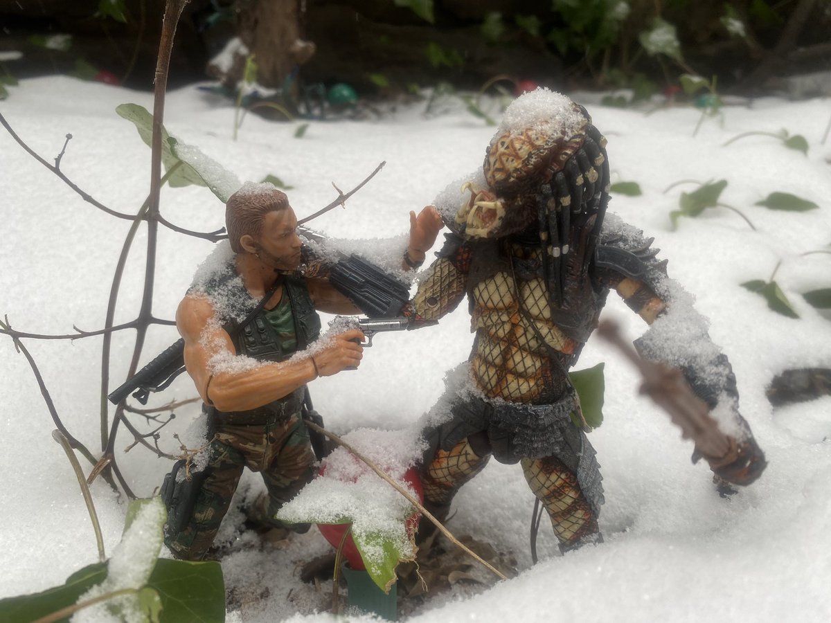 This is in our Manhattan “backyard.” @ErikDavis came over once and was like “why isn’t the Predator in your garden?” So I brought them out for his amusement and left them there. My point: a snow based Predator would be incredible.