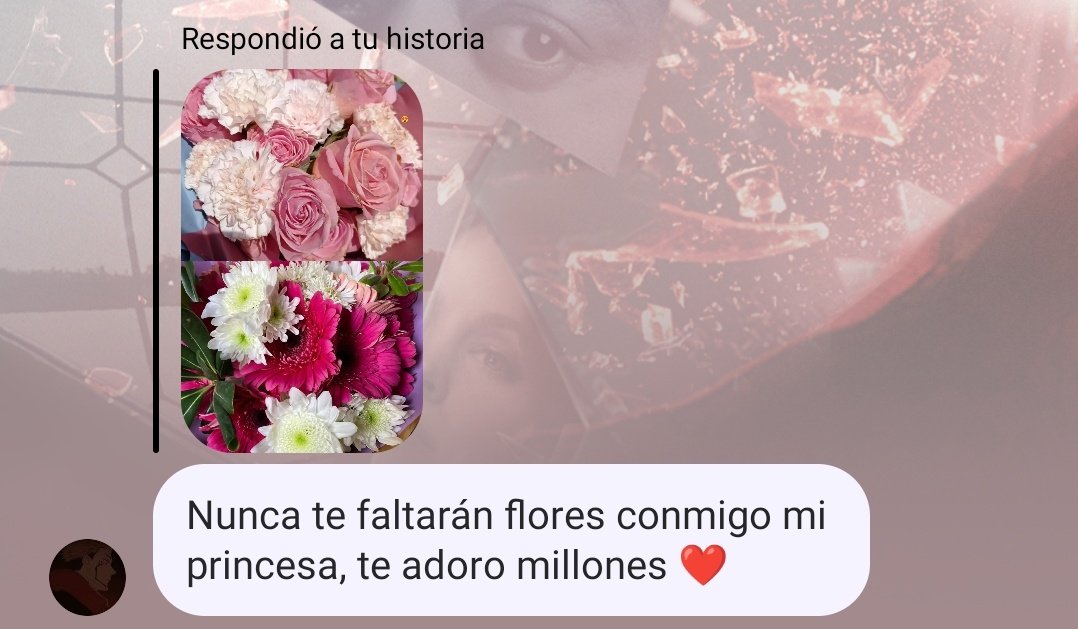 peraza_barrera's tweet photo. La favorita de Dios, la favorita de Dios 😍 https://t.co/na7ok4vH4g