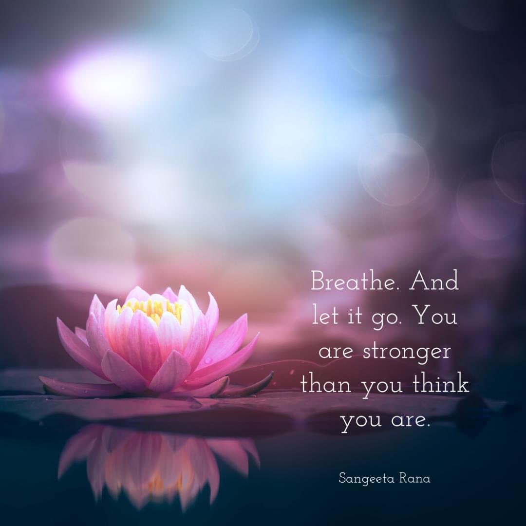 Jodi Ann Russell (@jodiannrussell) on Twitter photo 