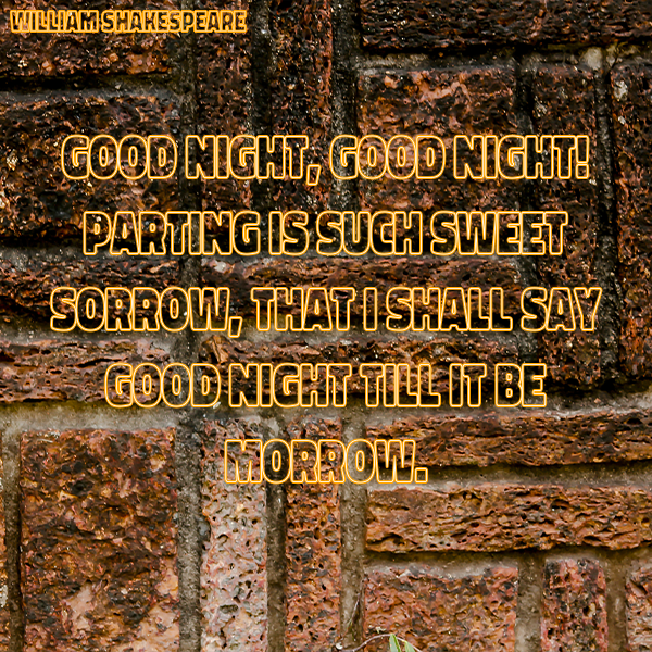'Sweet Sorrow'

#GoodNight
#SweetSorrow
#TillItBeMorrow