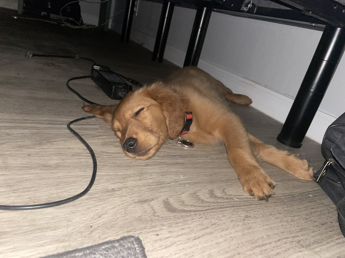 DanDaley's tweet photo. It was strangely quiet… and this was why https://t.co/O5M25d2nvQ