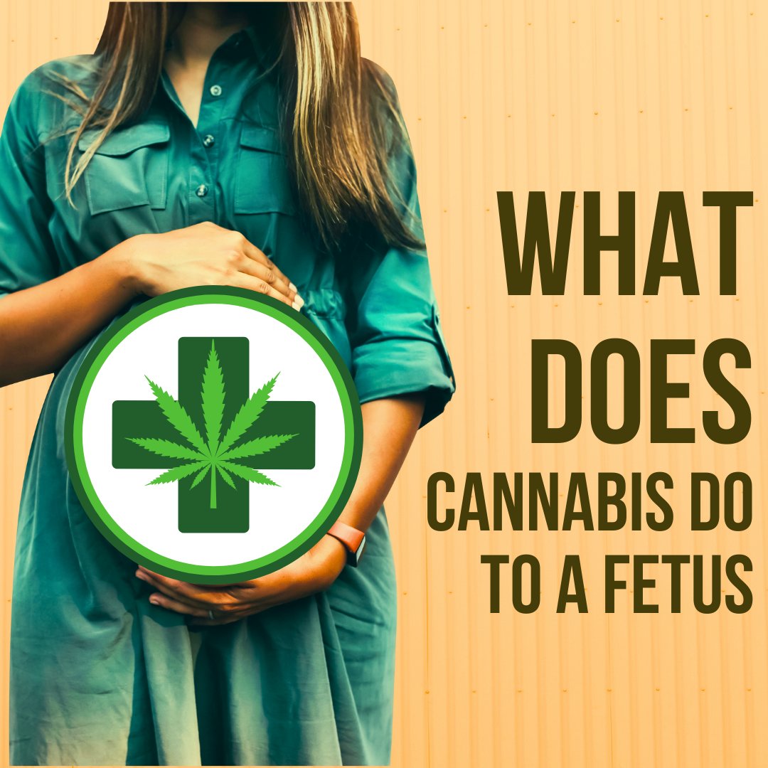 What does medical marijuana use actually do to a fetus? 🌿 Explore the complexities of cannabis and pregnancy. #MedicalMarijuana #PregnancyHealth