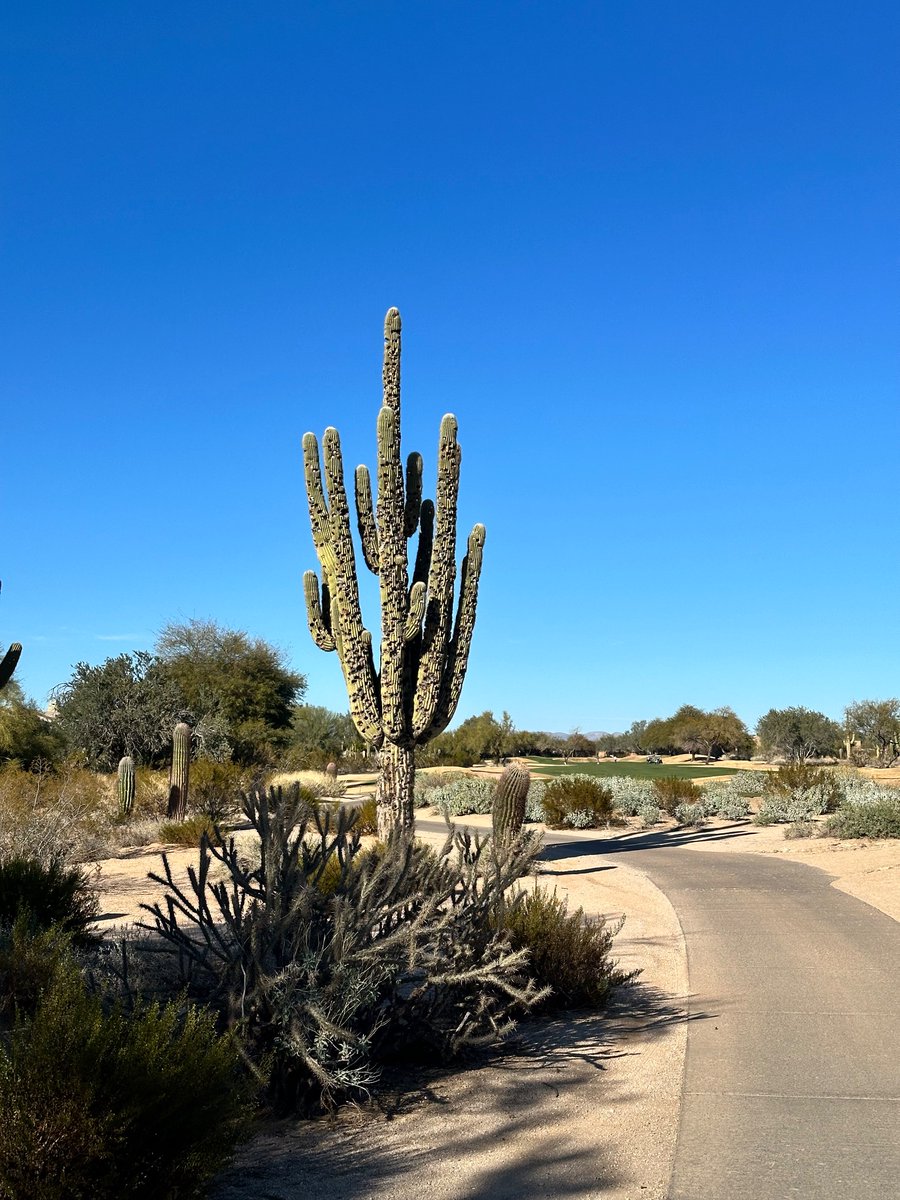 Nick Adams tweet media