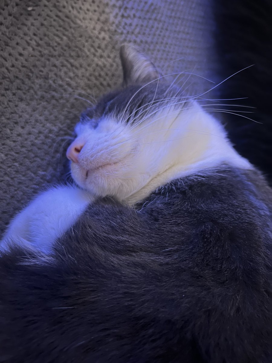 Nick Davies tweet media