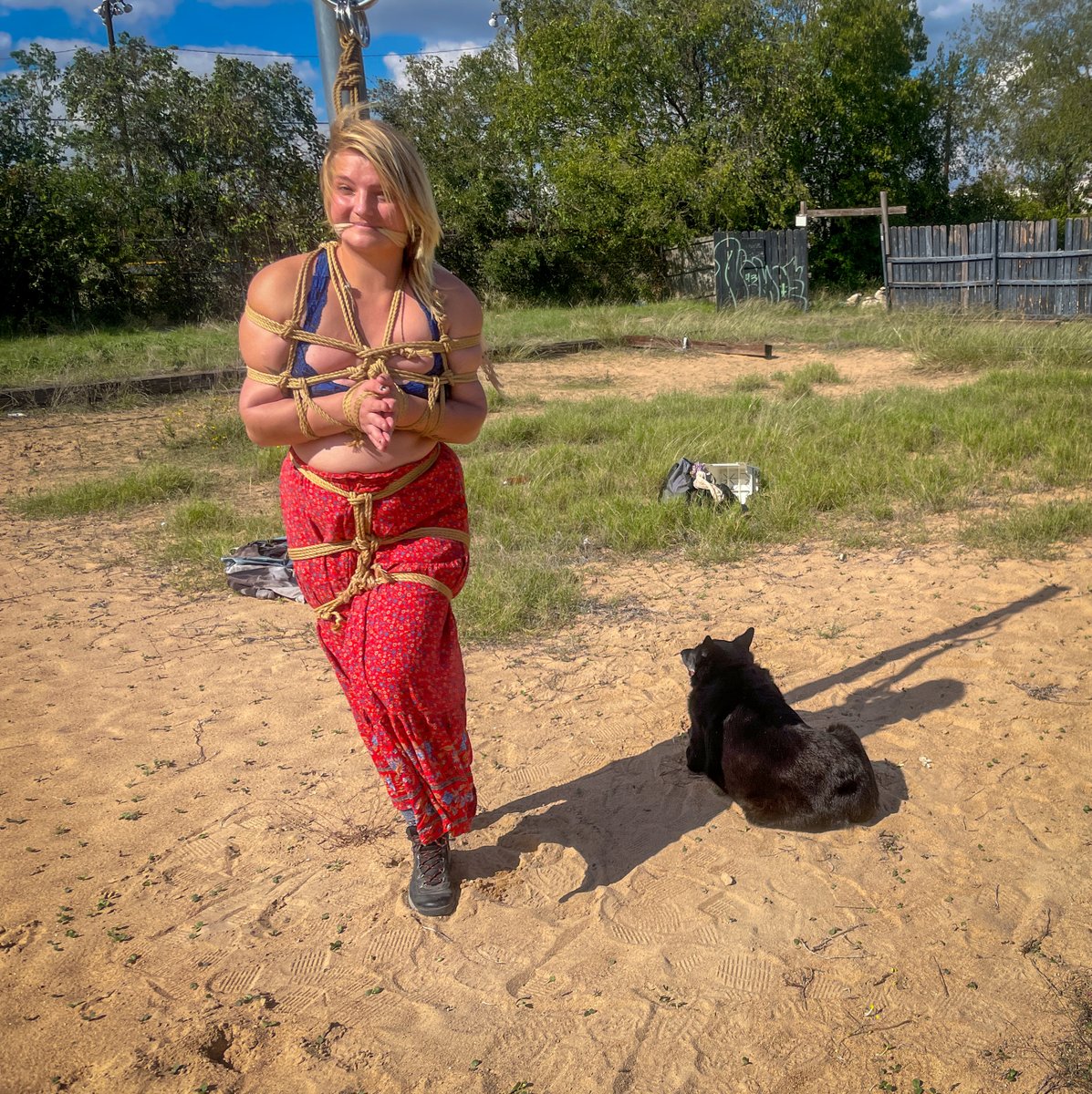 Jake Wing tweet media