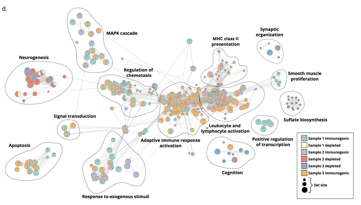 Bo Wang (@bowang87) on Twitter photo Great News: DeepVelo finally published in Genome Biology (<a href="/GenomeBiology/">Genome Biology</a>)! 🎉 🙏❤️🔥
DeepVelo: Deep learning extends RNA velocity to multi-lineage systems with cell-specific kinetics
In-press: link.springer.com/article/10.118…,
#bioRxiv preprint (April 2022) : biorxiv.org/content/10.110… Great News: DeepVelo finally published in Genome Biology (<a href="/GenomeBiology/">Genome Biology</a>)! 🎉 🙏❤️🔥
DeepVelo: Deep learning extends RNA velocity to multi-lineage systems with cell-specific kinetics
In-press: link.springer.com/article/10.118…,
#bioRxiv preprint (April 2022) : biorxiv.org/content/10.110…
