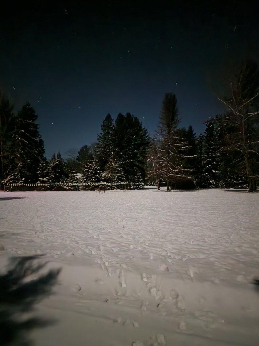 Linda Haug tweet media