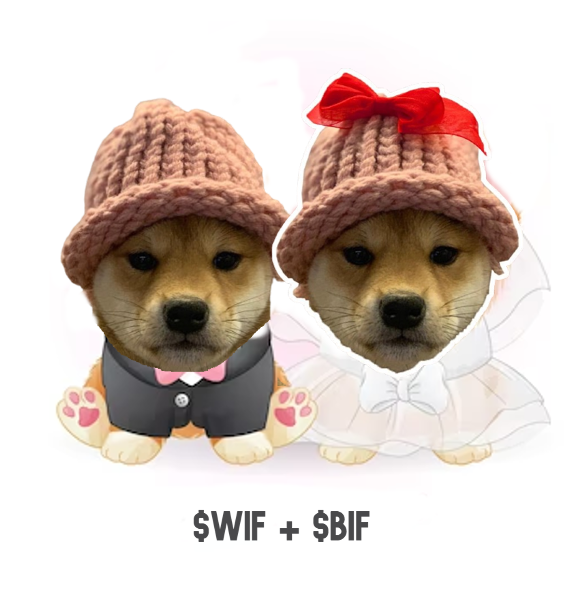 bitchwifhatsol's tweet photo. baby we getting married real soon ♥️

@dogwifcoin $BIF https://t.co/iM96hk48qd