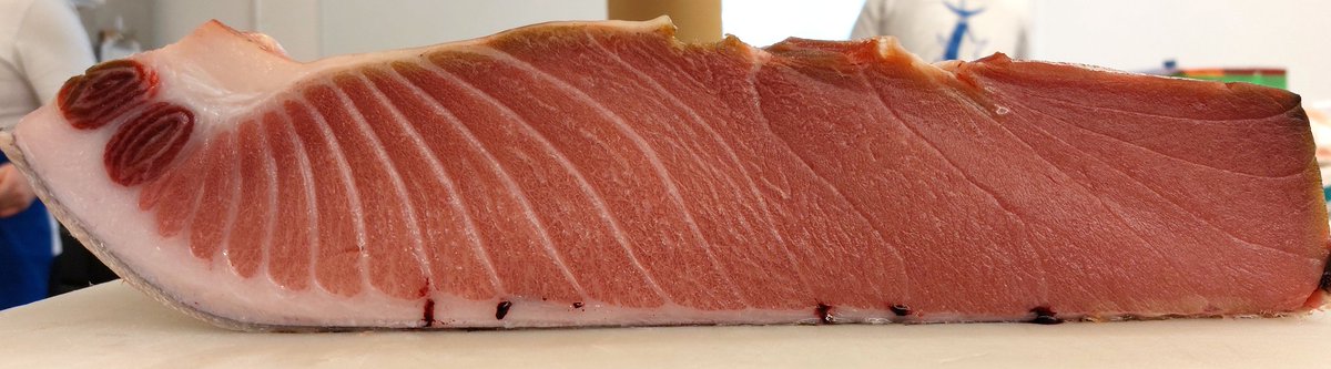 ginga270's tweet image. 7 days dry aged blue fin tuna belly loin 🙂