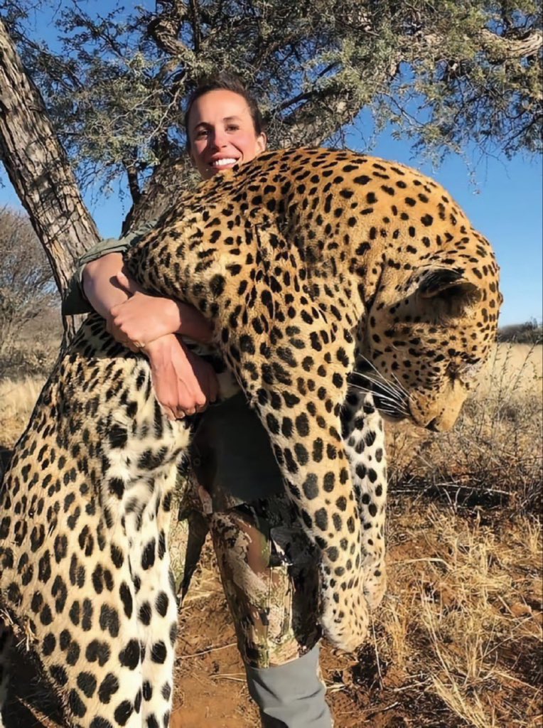 🇬🇧 Brutal:La cazadora de trofeos Brittany Longoria mató a este hermoso leopardo macho en su mejor momento. Hagamos famosa a esta asesina de animales Retuitea y difunde esto por todas partes,aquí les dejo el link de su cuenta @HonorTheHunt hay más animales asesinados por ella.😡