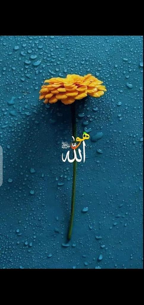 GhulamAlikand10's tweet photo. اي خدا هر راز کان خوب واقف آھين ،مشڪلن ۾ ڦاٿل آھيان
جيون پٿرن سان ٽڪرايو آھي، ڏکين راهون ۾ الجهيل آھيان
ڪاميابين جا رستا پار ڪرائي،ناڪامين ۾ چٿجي ويل آھيان
مقصد جا خواب اکين ۾ رکي  ،ساڀيائون کان هٽيل آھيان
غلام علي ڪانڌڙو
#حمد https://t.co/DEgNFJ8f74