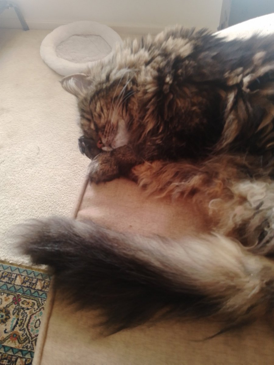 Pardon my snooze.....