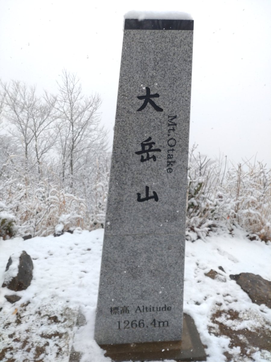 今日はいつもと違う。