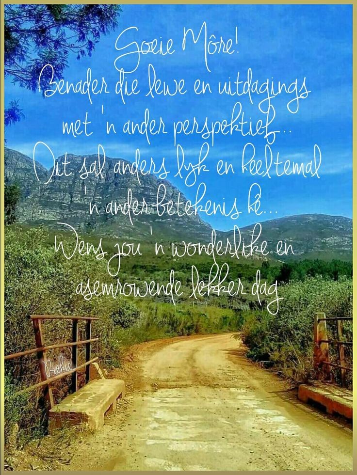 Ellie 🌹🐱🧶 tweet media