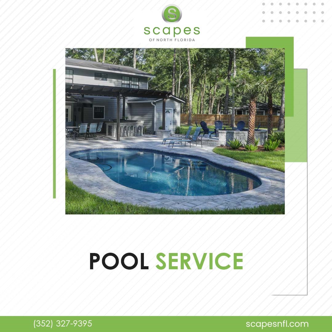 scapenorthfl's tweet image. Dive into summer vibes with Crystal Clear Pools! Our pool service guarantees a splash of relaxation.

bit.ly/3nkDbeE

#scapesnfl #poolcompanies #poolservice #pools