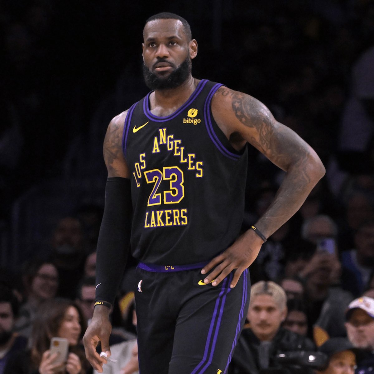 Legion Hoops tweet media